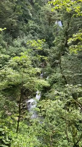 The video shows a flowing waterfall in a lush forest. The water cascades down a rocky incline, surrounded by dense green foliage. The camera pans slowly, offering glimpses of the surrounding trees and vegetation. The overall impression is one of natural beauty and tranquility.