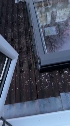 The video opens with a close-up shot of a roof window on a corrugated roof. The camera then moves to reveal a vivid sunset sky with pink and red hues behind a line of trees. A portion of a brick house with a white roof is visible in the foreground. Below, a yard with a round outdoor table and chairs is visible. The camera remains still, capturing the sunset scene.