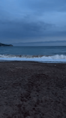 Evening dog walk and selfies on Montenegro beach