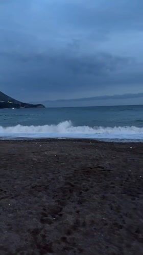 Evening dog walk and selfies on Montenegro beach