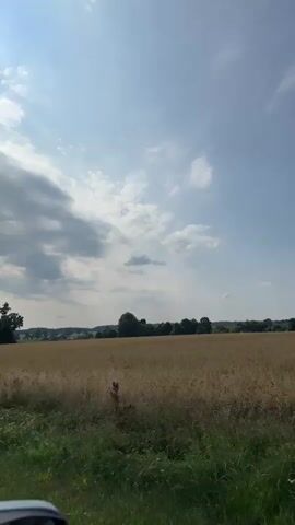 The video shows a view from a moving vehicle through a car window. The vehicle is traveling alongside a field of dry grass and crops. In the distance, there is a treeline and a clear blue sky with scattered clouds. The sun is visible, casting shadows and illuminating the landscape. The perspective suggests a rural setting on a sunny day.