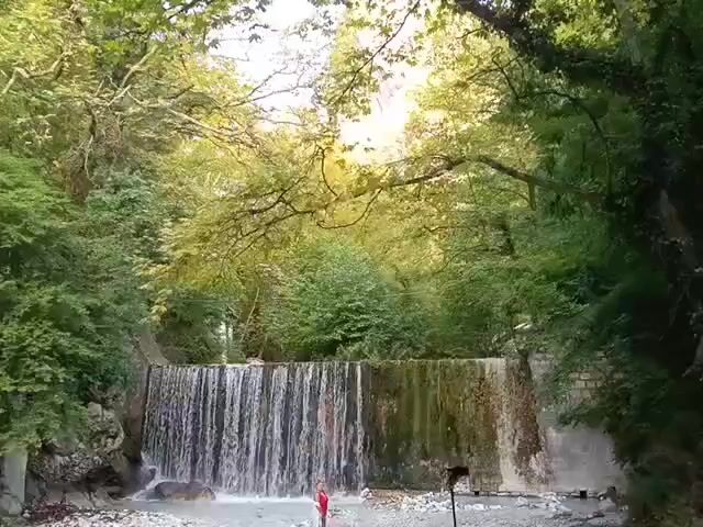 The video shows a view from a river looking up at a small waterfall with lush green trees and branches forming a canopy overhead. The water is flowing over a man-made barrier, creating a sheet-like waterfall. Sunlight filters through the leaves, creating dappled light. In the foreground, a person in a red top is standing in the shallow water near the base of the waterfall. The environment appears to be a natural setting with a man-made element contributing to the scenery. The camera is positioned low, looking upwards.