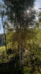 Vehicle travels through wooded area in Russia