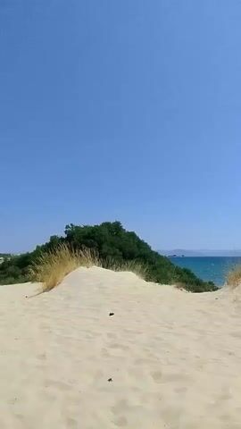 The video displays a natural coastal landscape. The foreground is dominated by sand dunes, with some dry grasses and low-lying vegetation. In the mid-ground, a denser patch of green foliage, possibly trees or shrubs, forms a mound. Beyond this, a body of water, likely the sea, is visible. The water appears blue-green with some gentle waves. In the distance, a faint horizon line suggests land or islands. The sky is a clear, bright blue, indicating fair weather. The camera appears to be moving, slowly panning or drifting across the scene. There are no people or man-made structures immediately apparent in the visible area.
