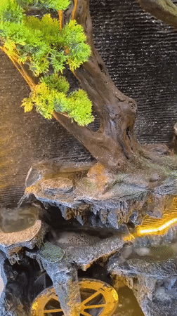 Indoor decorative tour documented in Klaipėda restaurant setting