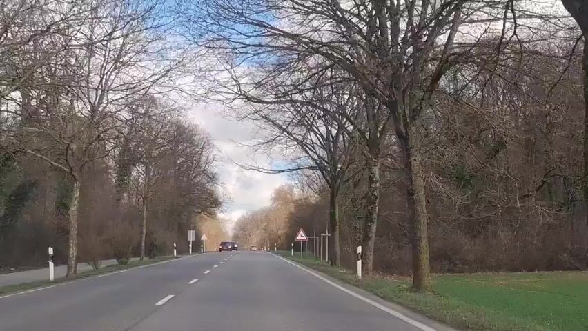 The video shows a road with two lanes, one in each direction. The road is surrounded by trees on both sides. The trees are mostly bare, suggesting it is either winter or early spring. The sky is blue with some white clouds. There are two cars driving on the road, one red and one dark gray. There are road signs on the side of the road. One sign depicts a deer jumping, warning drivers of wildlife in the area. The road appears to be in a rural or suburban area.