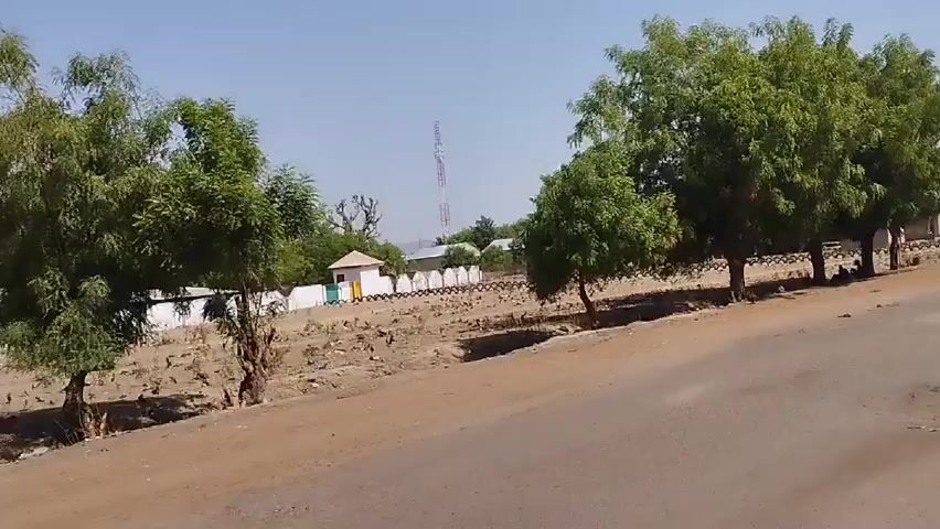 Here's a concise description of the scene in the video:

**Setting:** The video depicts a street in what appears to be a rural or semi-rural area. The environment is sunny and dry.

**Scene elements:**

*   A paved road with some potholes.
*   The side of the road consists of dirt.
*   Several green trees line the road.
*   Several people are sitting in the trees’ shadow.
*   Behind the trees is a property enclosed by a white wall with a textured/patterned top. Some small buildings or structures are visible within the property.
*   In the background, a communications tower is visible.
*   Cars parked along the side of the street are visible.
*   Some pedestrians are walking down the road.

**Camera Movement:** The camera appears to be moving, likely from a vehicle traveling down the road. The perspective changes as the vehicle progresses.