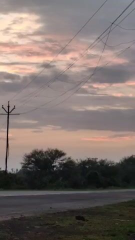 A short video captures a dusky, overcast sky with streaks of pink and orange. In the foreground, a dark road runs horizontally, bordered by vegetation and trees on the right. Two silhouetted utility poles with power lines are visible against the sky, with the one on the left being closer and taller. The scene appears to be a rural or roadside environment during twilight.