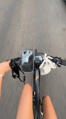 POV bicycle ride along a paved road.