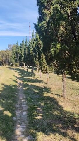 The video shows a dirt and stone pathway through a grassy park on a sunny day. A line of evergreen trees casts shadows on the path and lawn. In the distance, a radio tower is visible against a blue sky with scattered clouds. The camera moves forward along the path, creating a sense of forward motion.