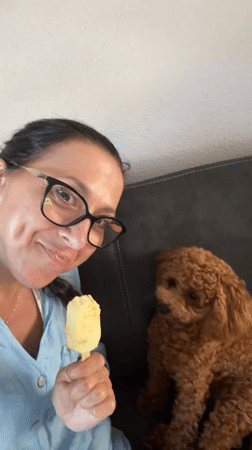 Popsicle and poodle on the couch in Marum