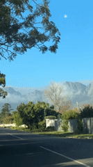 Driver travels through Somerset West residential streets on sunny afternoon