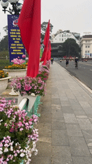 Daily life moments recorded across Da Lat, Vietnam