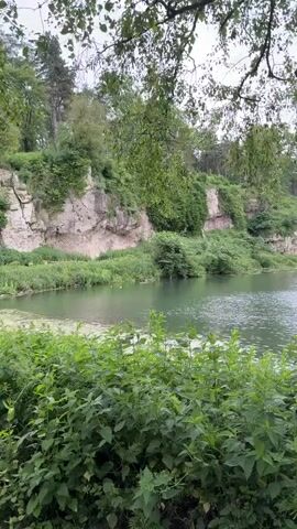 The video shows a calm lake surrounded by lush greenery. On either side of the lake, there are tall cliffs covered with grass and trees. The water is still with minor ripples, reflecting the overcast sky above. The camera is positioned low behind a patch of tall green plants, offering a glimpse of the lake through the leaves and a tree branch that hangs over the scene. In the audio, children's voices can be heard.