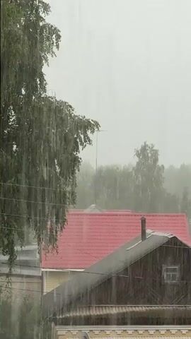 A medium shot shows a downpour of rain over a rural residential area. In the foreground, a large tree with green leaves is on the left, its branches drooping under the weight of the rain. Two houses are visible in the midground. The house on the right has a dark brown wooden exterior, a dark sloped roof, and a small window. The house behind it has a bright red sloped roof. The background consists of a blurry expanse of green trees and a light grey sky, indicating overcast conditions. The rain is visible as streaks of water falling through the air.