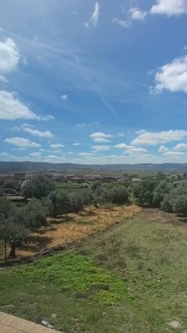 A wide, static shot captures a serene rural landscape under a bright, partly cloudy sky. The scene is dominated by a clear blue sky with scattered white cumulus clouds and some high-altitude cirrus streaks. In the foreground, green and brown grassy areas are visible, with a patch of vibrant green vegetation in the lower left. A low stone wall and a wire fence separate different sections of the land.

Olive trees with their characteristic silvery-green foliage are abundant, particularly in the middle ground, appearing to be part of an olive grove. Beyond the trees, a small village with red-tiled roofs and light-colored buildings is nestled amidst the rolling hills in the distance. Further back, hazy mountains or hills form the horizon line. The overall impression is one of a peaceful, sun-drenched countryside, consistent with a location like Fontanarejo, Spain. No people or visible text are present in the video.
