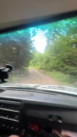 The video shows the interior of a car driving on a dirt road through a dense forest. The camera is positioned from the driver's perspective, looking out through the windshield. Sunlight filters through the trees, indicating it's daytime. The trees are lush and green, suggesting a warm season, possibly spring or summer. The sky is visible through the trees and the windshield, appearing bright blue with some clouds. The road is unpaved and appears somewhat rough. The dashboard of the car is visible in the foreground, with some dark interior elements. No people are clearly visible, though a leg is partially in the frame at the bottom left. The overall mood is serene and natural, suggesting a drive through a peaceful, wooded area. The location is identified as Sushina, Bulgaria.