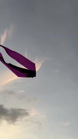 The video shows two kites flying in the sky. The upper kite is purple and black, with long streamers. The lower kite is green and black, also with streamers. The sky is light blue, with thin clouds. Two birds are seen flying in the distance.