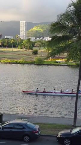 A long, narrow canoe with at least five people paddling is moving across a body of water. The canoe is white with a red trim. A palm tree is in the foreground on the right side of the image, and another palm tree is on the left. In the background, there is a city skyline with a tall building and a mountain. There are cars parked on the side of the road in the foreground.