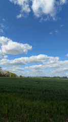 Spring cropland observed under clear skies near Maidstone