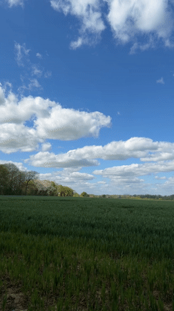 Spring cropland observed under clear skies near Maidstone