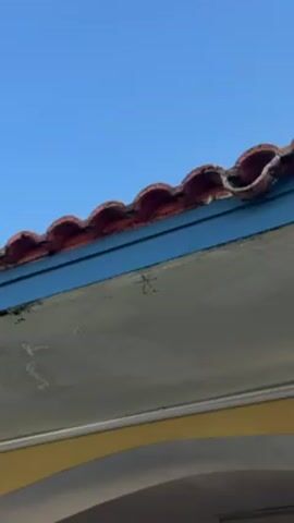 The video shows a spider clinging to the side of a building under the roof. The roof is made of curved, reddish-brown tiles over a blue band. The wall beneath is light gray with slight imperfections. The spider, gray with black and yellow markings on its legs, is stationary. The background is a clear blue sky.