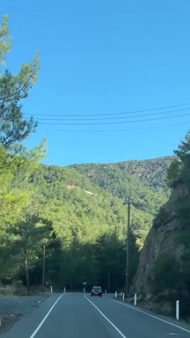 A red car drives down a paved road that curves to the right. The road is bordered by a steep, rocky embankment on the right and a lush green forest on the left. Tall, slender trees with needle-like leaves dominate the landscape, interspersed with larger rocks. A wooden utility pole with wires stands on the right side of the road, and another appears further up the hill on the left. The sky is a clear, vibrant blue. The car is the only visible vehicle. There are no visible people. The scene suggests a mountainous, forested area on a sunny day.