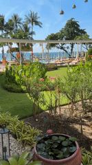 Resort scenes documented at Baan Chaweng beach resort Thailand
