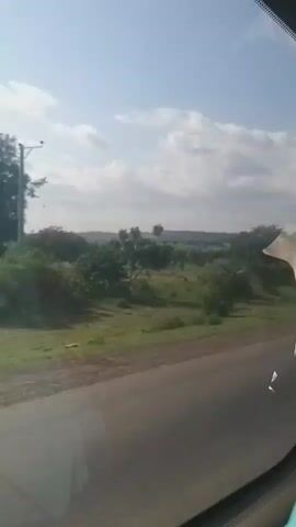This media file captures a view from inside a vehicle, looking out at a rural landscape in Ture, Nigeria. The scene depicts a road in the foreground, bordered by green fields and scattered trees. In the distance, rolling hills are covered in more vegetation. The sky is a pale blue, dotted with fluffy white clouds, suggesting it's daytime, likely late morning or early afternoon. There's no discernible activity of people or specific objects beyond the natural elements and the road. The overall impression is one of a journey through a tranquil, sparsely populated area. No text is visible in the media.