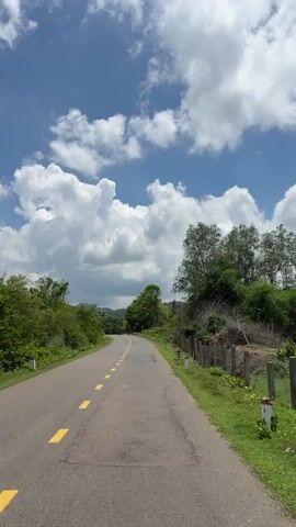 A vertical, first-person perspective video shows a paved road with yellow dashed lines. The road curves to the left and appears to be in a rural or natural setting. Lush green trees and vegetation line both sides of the road. In the background, rolling hills and more trees are visible under a bright blue sky filled with fluffy white clouds. A wooden fence with some posts is visible on the right side of the road, and a small sign with numbers is attached to one of the posts. There are no people or vehicles visible in the video. The overall impression is one of a serene, scenic drive.