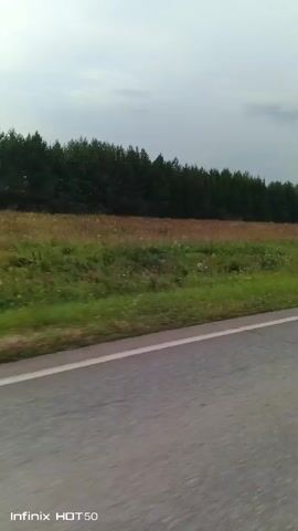 The video shows a roadside view of a field and a line of trees. There is a paved road with a white line in the foreground. The field is covered in grass and what appears to be dry grass or wildflowers. A dense line of dark green trees runs along the horizon. The sky is overcast. There is a faint plume of smoke visible in the distance, rising from behind a small patch of bushes in the field. The video appears to be filmed from a moving vehicle.