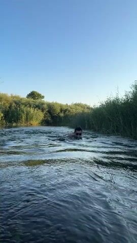 A person is swimming in a river surrounded by vegetation under a clear blue sky. The person is wearing sunglasses and their upper body is visible above the water. The river appears to have a gentle current.