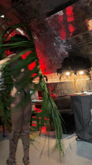Cabaret performer entertains Moscow audience in elaborate costume