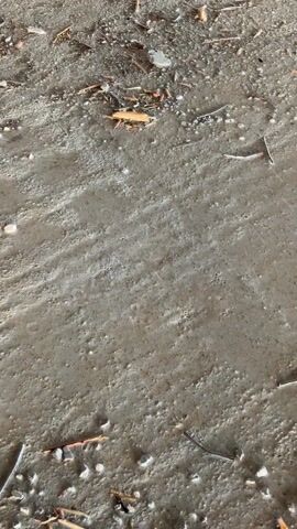 The video shows a close-up of a concrete floor with scattered debris, including wood splinters, small rocks, and miscellaneous fragments. The floor is grey and rough in texture. At one point, a spiderweb, or a thread, becomes visible on the concrete surface. The video appears to be static and shot from above.