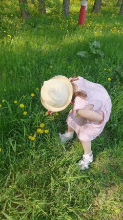 Girl picks dandelions in Perm park during spring morning