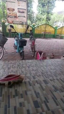 A person wearing a headscarf and a patterned jacket kneels next to a red motorcycle, appearing to adjust something on the ground. They are in an outdoor, covered area with a tiled floor and a checkered pattern. In the background, other motorcycles and a bicycle are parked. A yellow and green fence is visible, and beyond that, trees and a building. The person is crouched down and their face is not clearly visible.