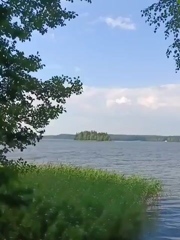 The video displays a serene lake landscape under a partly cloudy sky. In the foreground, lush green foliage frames the view, with tall grass reaching towards the water's edge. The lake itself is calm, with gentle ripples on its surface. A small, tree-covered island is visible in the middle distance, adding to the picturesque scene. The background shows a distant tree line bordering the lake, with a faint hint of land and perhaps some structures beyond. The overall impression is one of natural beauty and tranquility.
