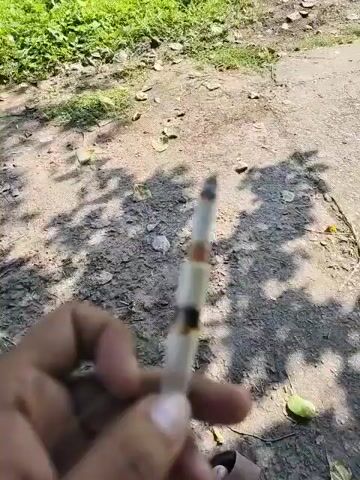 The video opens with a close-up of a hand holding a lit cigarette. The background is blurred but appears to be outdoors with dirt, leaves, and foliage. The camera then pans to reveal a man sitting outdoors, wearing a white shirt and white pants. He is holding the lit cigarette to his mouth and appears to be smoking it. The background shows trees and a pathway. The man has a beard and is looking towards the camera. The video captures him taking a drag from the cigarette.