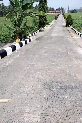 The video shows a view from a motorcycle or scooter riding down a paved road. The road is lined with black and white striped curbs, with lush green vegetation and trees on either side. In the distance, there are buildings and more trees, suggesting a rural or suburban setting. The weather appears to be sunny with a clear sky. The camera is angled downwards, showing the road ahead and a license plate from the vehicle at the beginning of the clip.