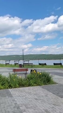 A static, vertical shot shows a park-like area with a paved walkway in the foreground. Beyond the walkway is a patch of green grass and yellow flowers, with a brown wooden bench. In the background, a wide body of water is visible, with a distant tree-lined shore under a bright blue sky dotted with white clouds. There are several covered picnic tables and some boats on the water. A blue, curved structure, possibly an abstract sculpture or playground equipment, is also visible. The overall scene depicts a pleasant, outdoor recreational area.