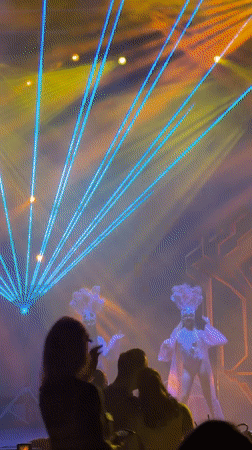 Elaborate costumed stage performance captivates nightclub audience in Manavgat