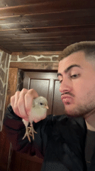 Man tends to baby chicks and plays with dog in Bulgaria