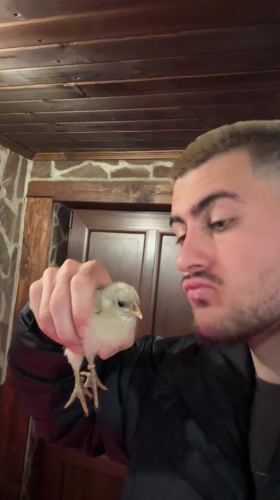 Man tends to baby chicks and plays with dog in Bulgaria