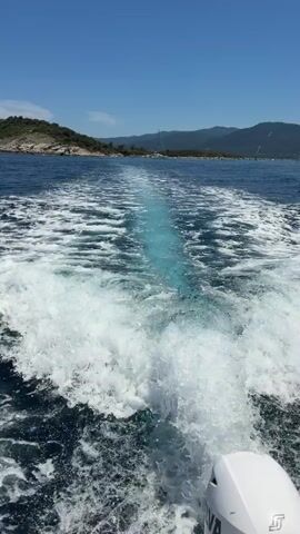 The video shows a first-person perspective from a boat moving across the water, leaving a prominent white wake behind it. The wake is a turbulent trail of white foam and spray that gradually dissipates into the dark blue water. The boat's white outboard motor is visible in the lower right corner of the frame. In the distance, a coastline with rolling hills covered in green vegetation and some rocky outcrops is visible under a clear blue sky. The sun appears to be shining brightly, illuminating the scene. The overall impression is one of a sunny day on the water, with the boat cutting through the sea.