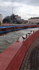 Summer morning at Zhlobin's central fountain square, Belarus