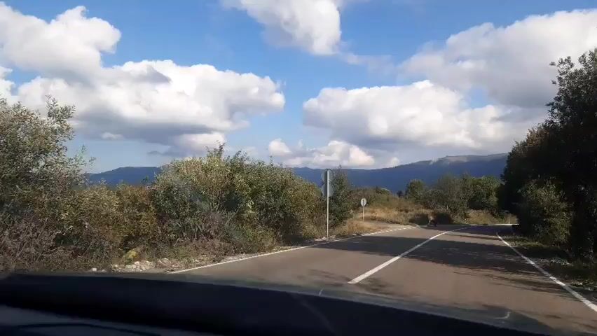 The video shows a view from inside a vehicle driving on a paved road. The road curves to the right. There are trees and dry grass on both sides of the road. In the distance, there are hills or mountains. The sky is blue with white, fluffy clouds. Several cows are visible in the grassy areas and one cow is crossing the road. There are road signs visible. The time stamp indicates the video is 5 seconds long.
