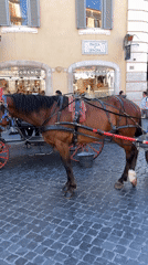Tourist activity documented around Rome's Spanish Steps during midday