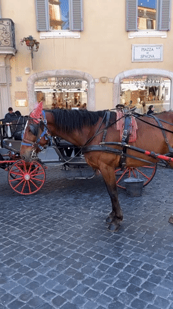 Tourist activity documented around Rome's Spanish Steps during midday