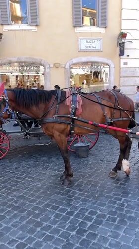 Tourist activity documented around Rome's Spanish Steps during midday