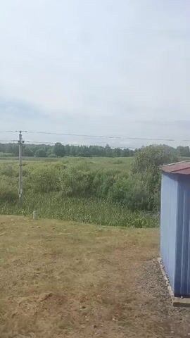 The video captures a panoramic view of a wetland landscape. The foreground is dominated by dry, mown grass with several small white posts scattered across it. A larger metal pole is visible on the right side of the frame. Beyond the grassy area lies a dense expanse of green vegetation, interspersed with patches of calm water, indicating a marshy environment. In the distance, a line of trees forms the horizon, beneath a pale, overcast sky. The camera appears to be panning slowly to the left, revealing more of the watery expanse and the surrounding greenery.